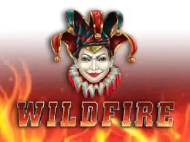 Fiz Casino screenshot